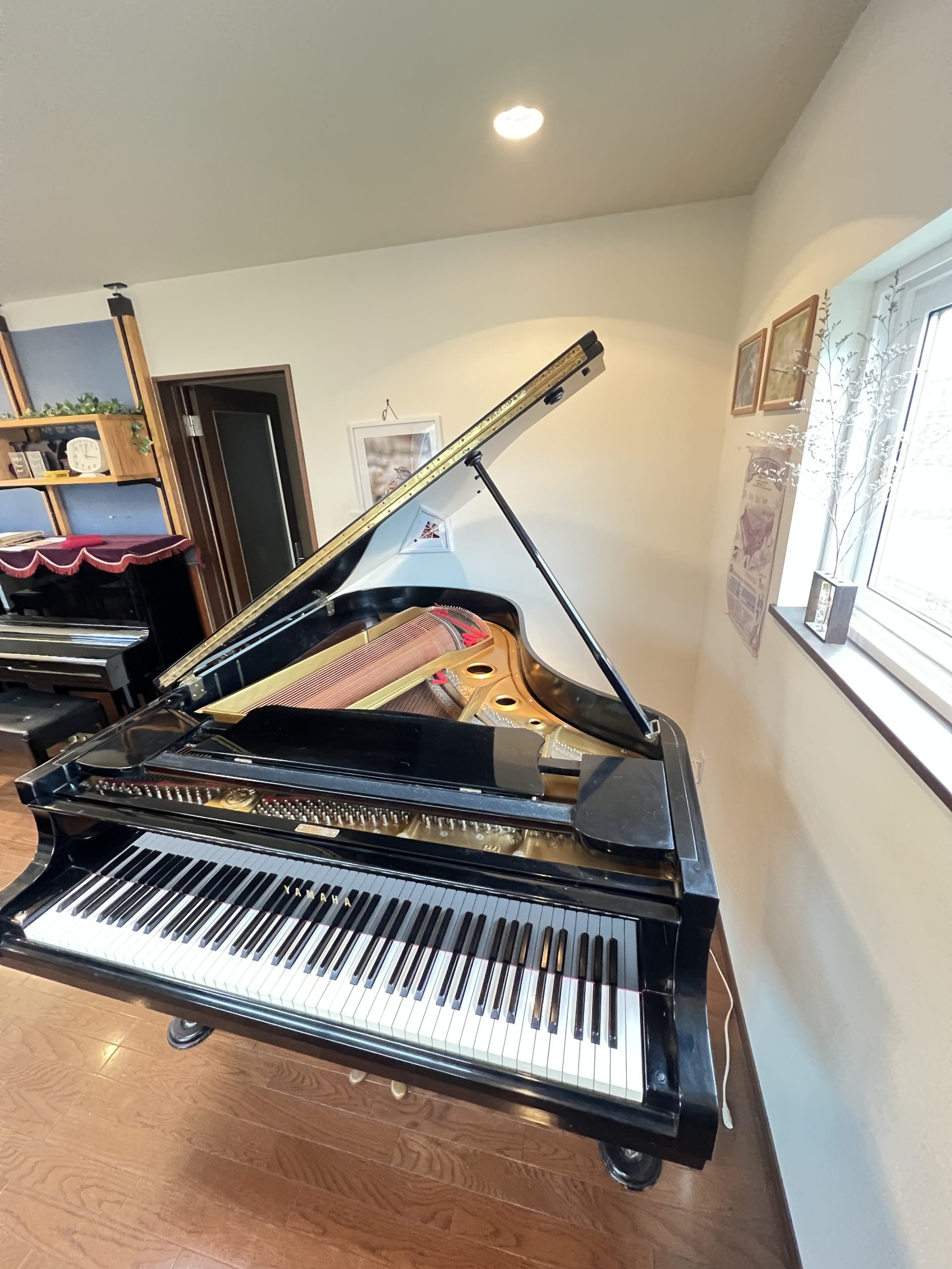 YAMAHA G3E